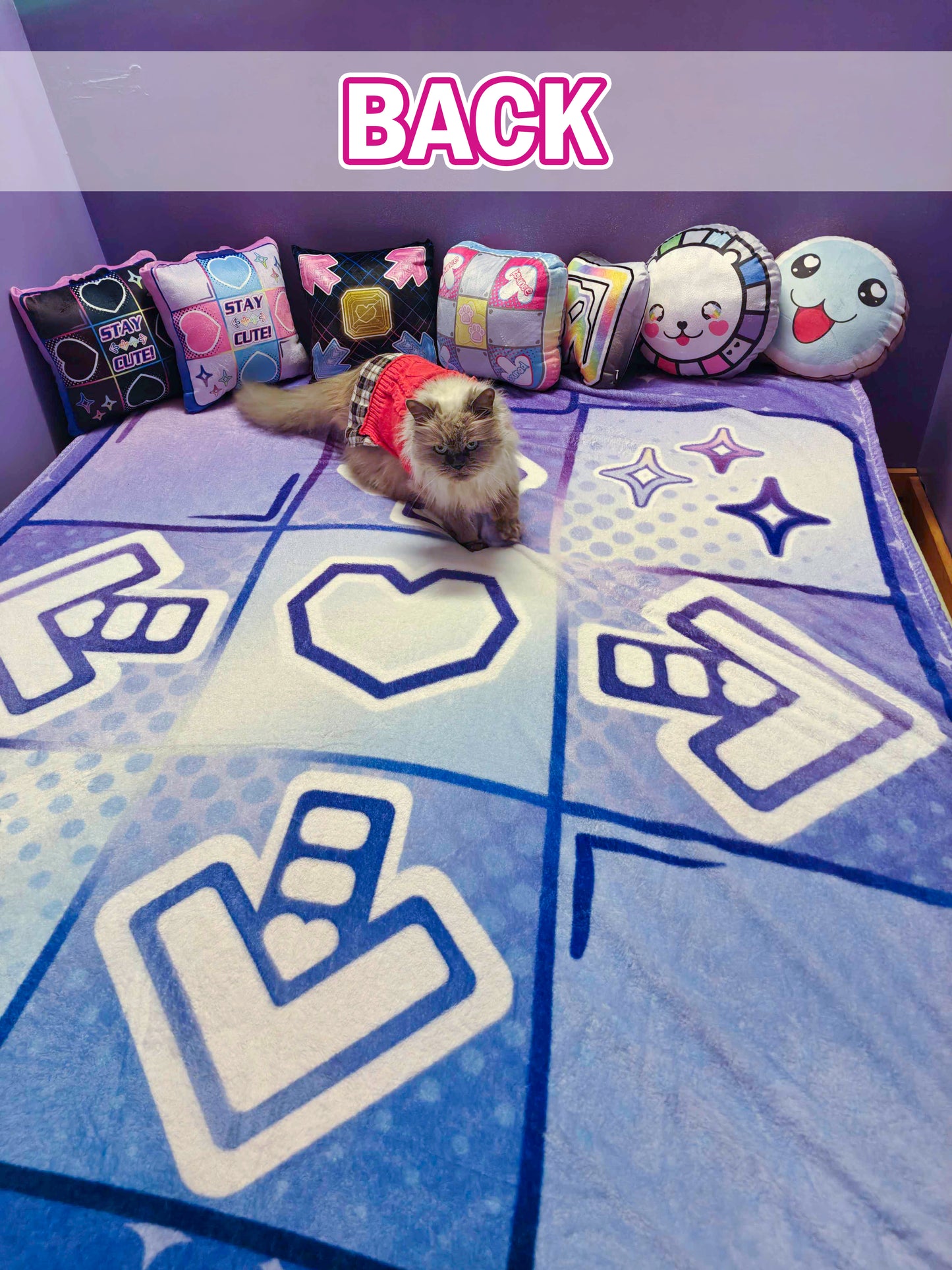 Dreamy Dance Blanket